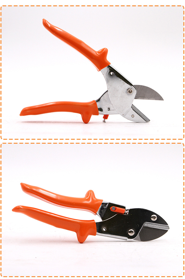 �@�ּ�֦����